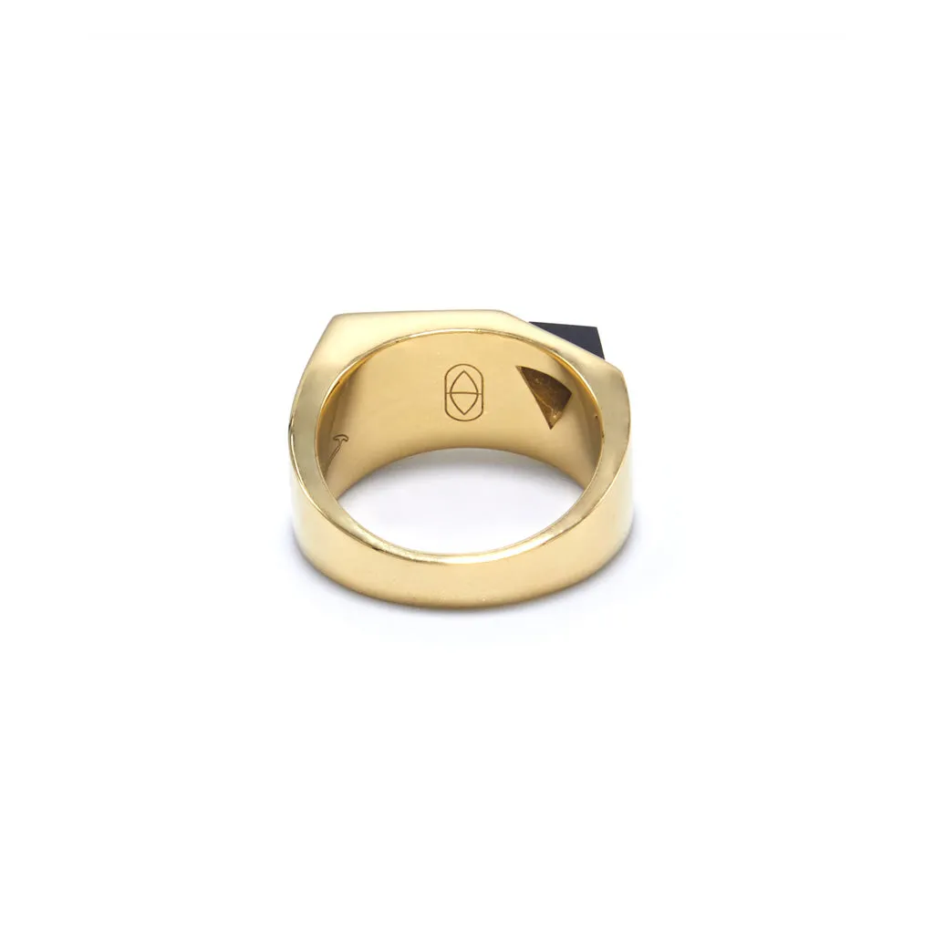 Jewel Beneath Signet Ring - Black Onyx, 24ct Gold Vermeil