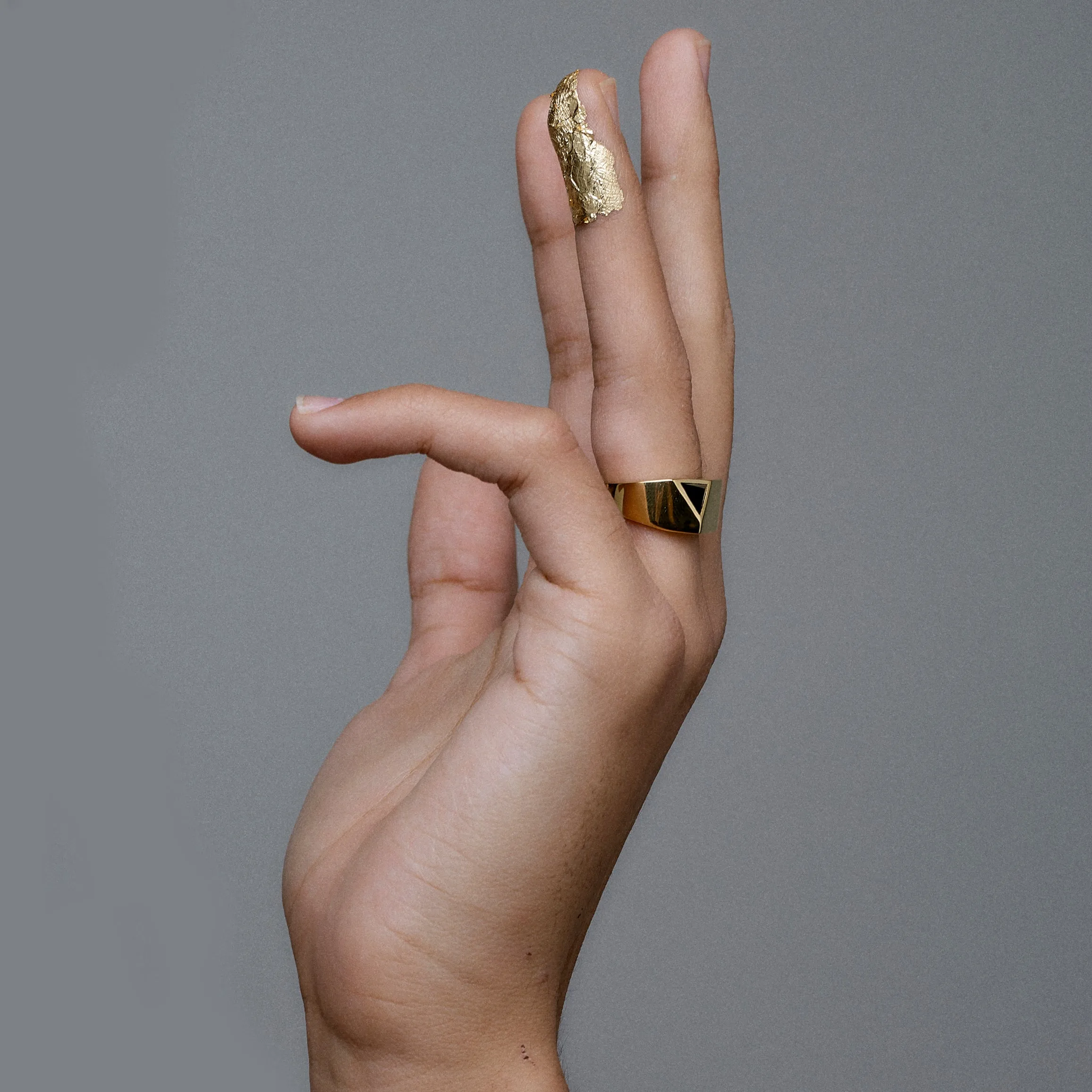 Jewel Beneath Signet Ring - Black Onyx, 24ct Gold Vermeil